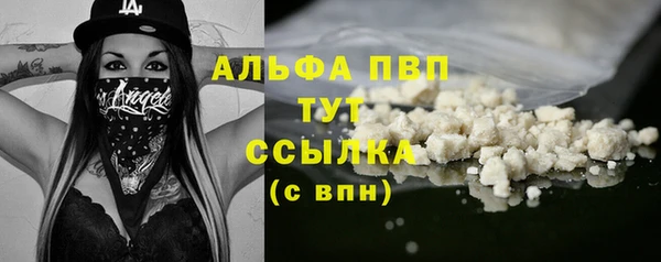 apvp Белокуриха