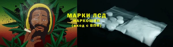 apvp Белокуриха