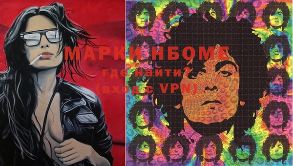 apvp Белокуриха