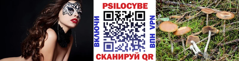 Галлюциногенные грибы прущие грибы  Новотитаровская 